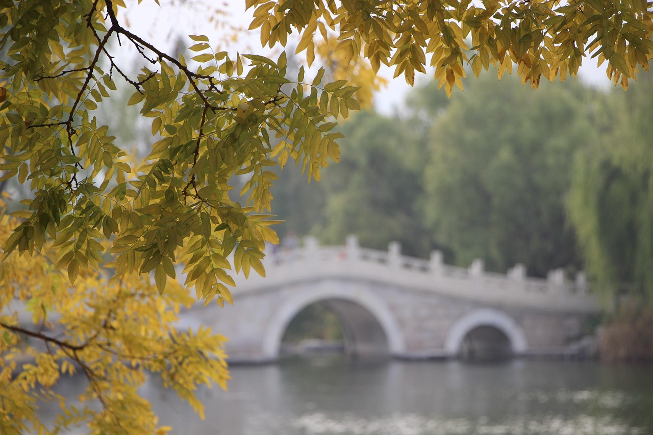 《奇异博士》免费在线观看，奇幻之旅即刻开启！